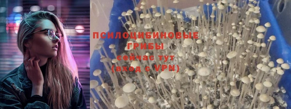 круглые Медногорск